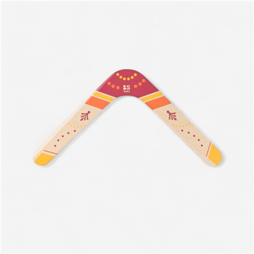 Boomerang Bs Toys 
