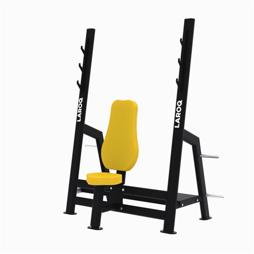 BANC DE MUSCULATION DÉVELOPPÉ ASSIS JAUNE