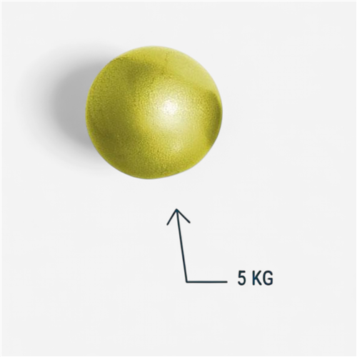 Poids de lancer Megaform 5 kg - Scolaire 