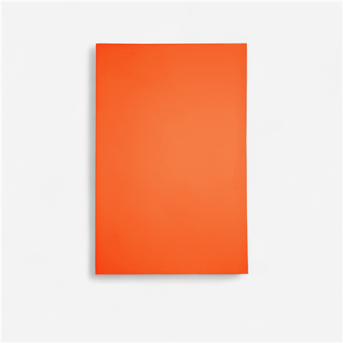 Protection murale judo 200x100x 2,5cm  - Norme feu M2 orange