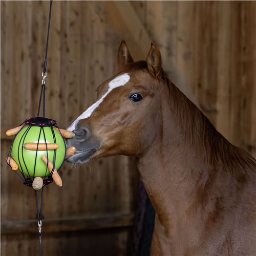 BALLE À JOUER POUR CHEVAUX