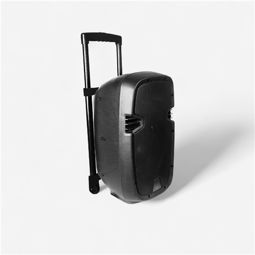 Sonorisation Fase 300 watts - Sur batterie 