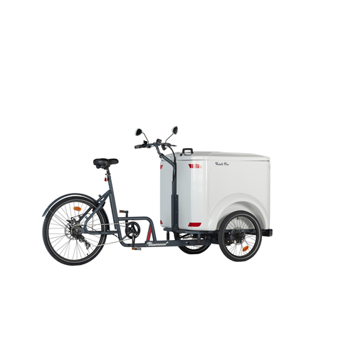 vélo cargo triporteur ketch mécanique pro