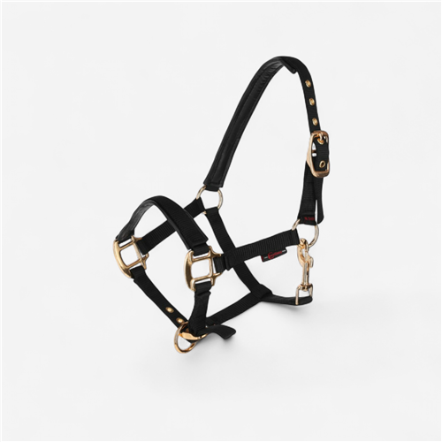 LICOL TOPLINE BLACK, POULAIN