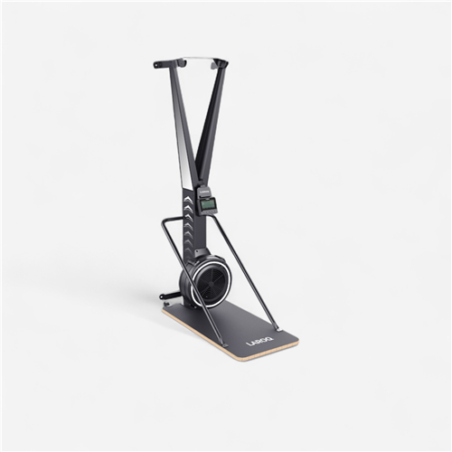 Simulateur de Ski Laroq 