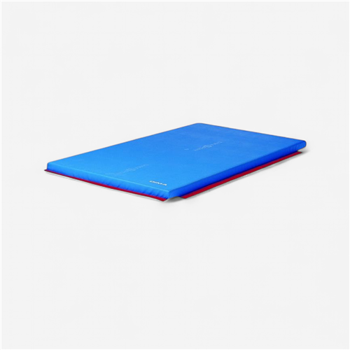 Tapis de gymnastique 200x100x4 cm Dimasport - associatif Eps 