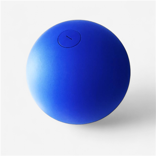 Boule d&#039;équilibre 10-16kg - bleu