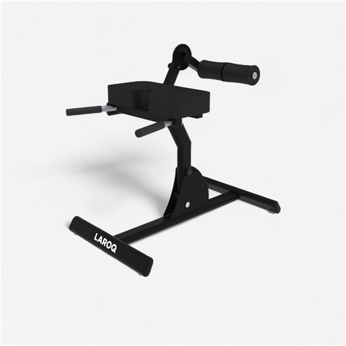 Banc de musculation Laroq - Banc à lombaires Noir 
