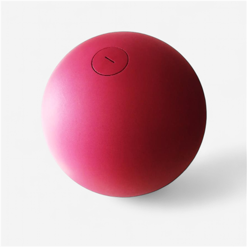 Boule d'équilibre 10-16kg - griotte