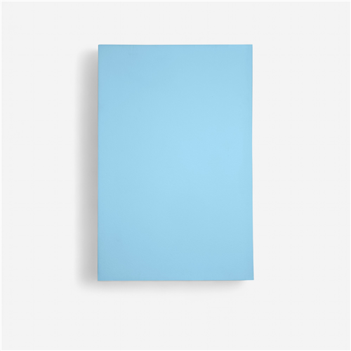 Protection murale judo 200x100x 2,5cm  - Norme M2 bleu ciel