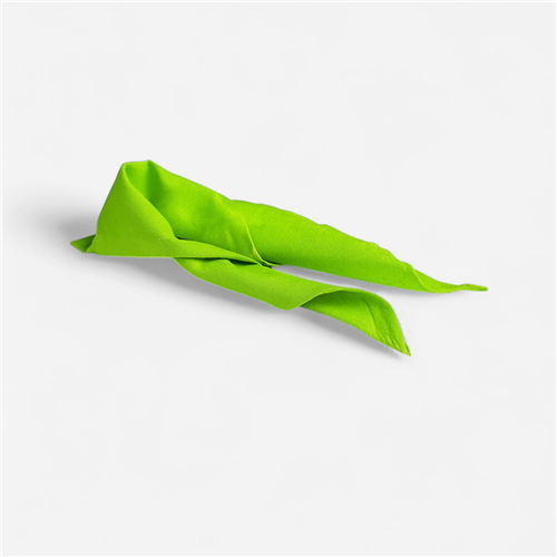 Foulard de jeu Tremblay - vert