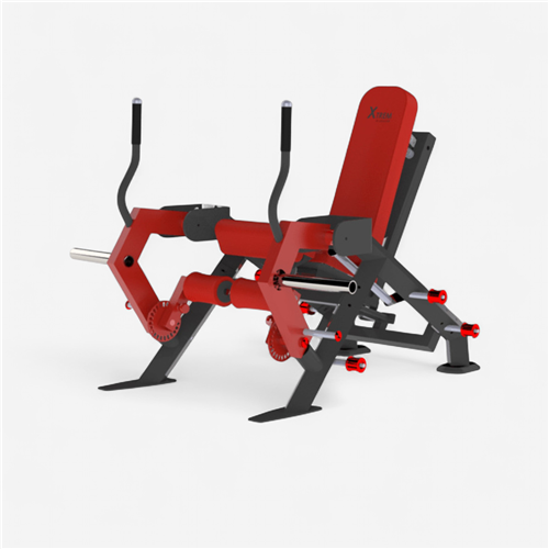 Appareil de musculation Laroq - Leg extension quadriceps by Delavier BXT 